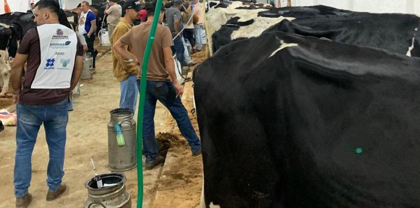 Torneio Leiteiro de Rio Claro será realizado durante a Festa do Peão